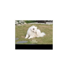 極限犬主Somi 2021桌上型月曆, 混色, 1個
