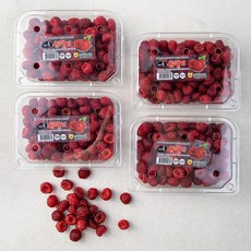 대포천사람들 상동농협 김해 산딸기 4p, 1kg, 1개