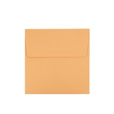 Bear Play 方形明信片信封 11.5 x 11.5cm, 05 橙色, 20個
