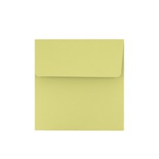 Bearplay 正方形明信片信封 11.5 x 11.5 cm, 淺綠色, 20個