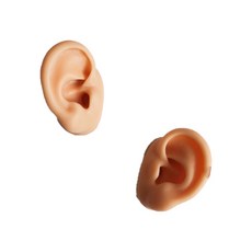 矽膠材質人體模型穿孔健康教育耳模左右套組膚色, 1套