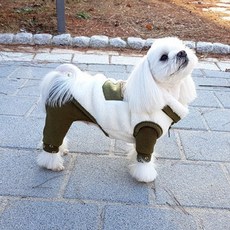 Happyvoice 狗狗口袋刷毛背心, 綠色