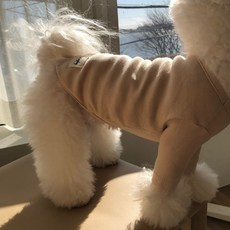 MAGDOG 狗狗全日T恤, 米色, 1個