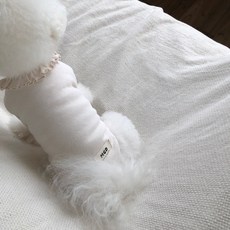 MAGDOG 狗狗晚宴荷葉邊T恤, 象牙白