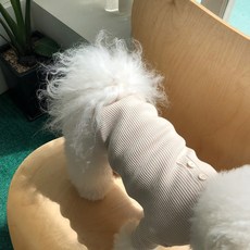 MAGDOG 狗狗秋季鈕扣T恤, 象牙白