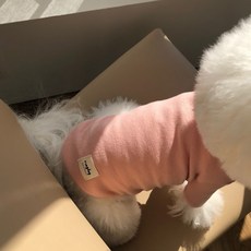 MAGDOG 狗狗All Day T恤, 粉紅色, 1個