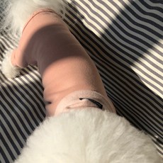 MAGDOG 狗狗Crew刷毛連身衣, 粉紅色