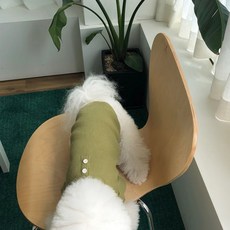 MAGDOG 狗狗秋季鈕扣T恤, 卡其色