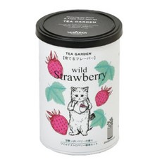 티가든 종이팩 화분키우기 세트, 산딸기