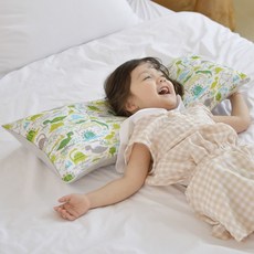 ahtty blanc 孩童印花寬枕頭+枕頭套 2入, 恐龍地