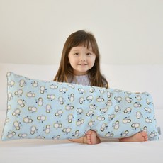 ahtty blanc 孩童印花寬枕頭+枕頭套 2入, 藍企鵝