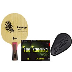 Center Force 內 FL 握把 + 新同步橡膠附件 2p + Nasare 硬殼隨機出貨