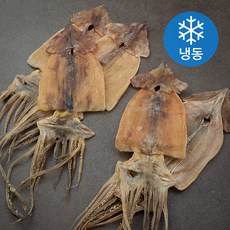 해선생 국내산 건조오징어 5미 (냉동), 350g, 1개