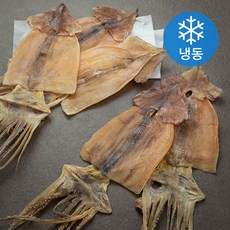 해선생 국내산 건조오징어 5미 (냉동), 475g, 1개