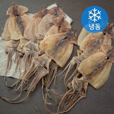 해선생 국내산 건조오징어 10미 (냉동), 550g, 1개