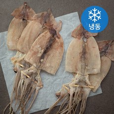 해선생 국내산 건조오징어 5미 (냉동), 400g, 1개