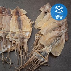 해선생 국내산 건조오징어 10미 (냉동), 450g, 1개