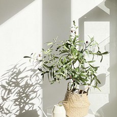 RYMD 유러피언 올리브 조화 나무 소형, 혼합색상, 1개