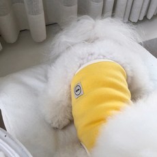 MAGDOG 狗狗果凍短版無袖上衣, 黃色