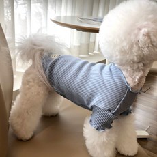 MAGDOG 狗狗精靈荷葉邊T恤, 藍色