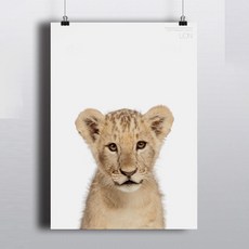 동물그림 포스터 사자