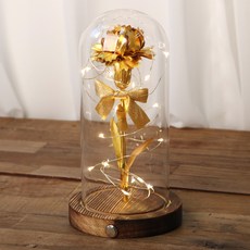 ROMANTIC NOVEMBER 保鮮康乃馨玻璃圓頂全息康乃馨+玫瑰LED心情燈玻璃圓頂按鈕型, 金子