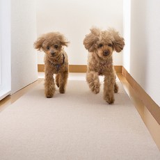 寵物生活防水防滑保護墊 長版 4mm, 米色, 1個