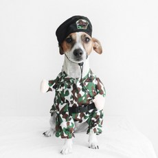 寵物士兵裝, 軍綠色