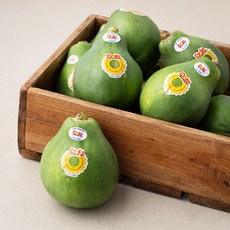 Dole 그린파파야, 5kg(10입), 1박스
