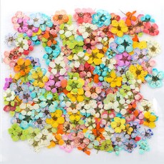 格子故事壓花 紫茉莉混合 小, 混色