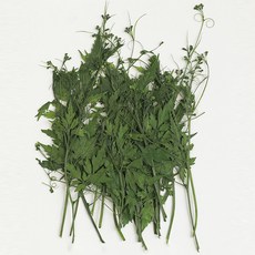 checkstory 壓花氣球20p, 染色