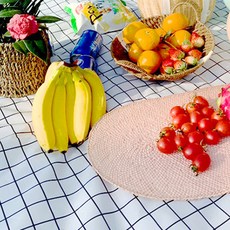 PVC野餐防水露營野餐墊, 格紋白色