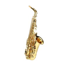 Dr.Philip One入門用中音薩克斯風, 單一顏色, 單品
