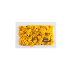 스칸디아모스 이끼 옐로우 500g, 1개