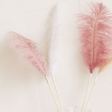 Shenzhen 鴕鳥羽毛人造花 3入, 白色