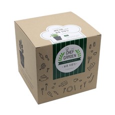 틔움세상 셰프가든 식물 키우기 세트 ver2, 부추