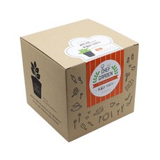 셰프가든 ver2 텃밭가꾸기세트, 루꼴라