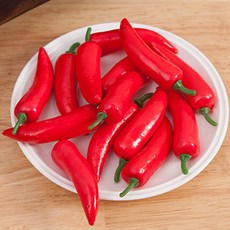 플라워트리 미니고추 모형채소, 레드