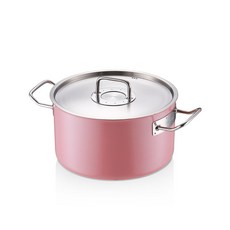 EDELKOCHEN 電磁爐適用304不鏽鋼雙耳不沾湯鍋, 24cm, 蓮花粉