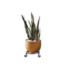 eCHOBELLE 圓形花盆架, 黑色的