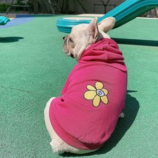 Saekoming向日葵寵物狗連帽T恤, 桃紅色