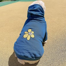 Saekoming向日葵寵物狗連帽T恤, 藍色