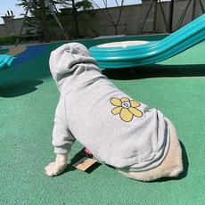 Saekoming向日葵寵物狗連帽T恤, 灰色