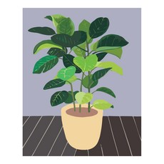 Wonder Art DIY繪畫套組, 瑪雅