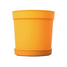담따 베이직 화분, 옐로우, 10개