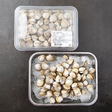 서해안 동죽조개, 1kg, 1개