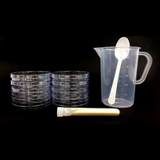 세균배양배지 만들기 세트 일반세균 + 글로브 랜덤발송, 1세트