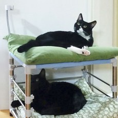 Steel Art寵物清潔 S, 1個, 海螺+灰