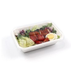 包裝大將 白色紙漿方形托盤 中 T-055, 1入, 50個