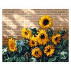 ABIRAM DIY名畫油畫組, 院子裡的向日葵
